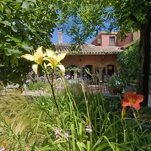 Lucrezia 3* Riola Sardo